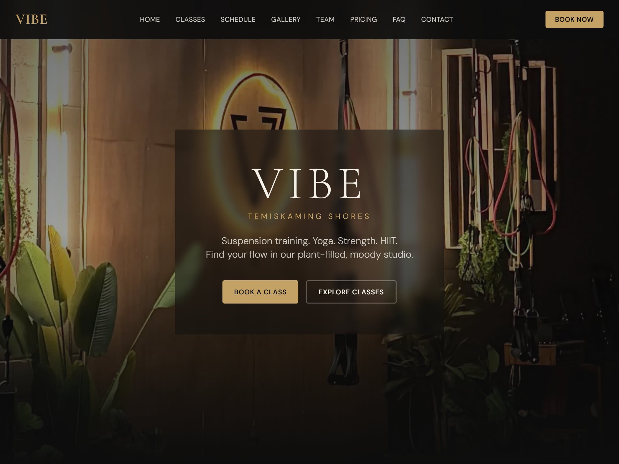 Vibe website, built by Attraction Web Designs